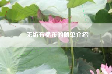 无纺布棉布的简单介绍 无纺布棉布的简单介绍