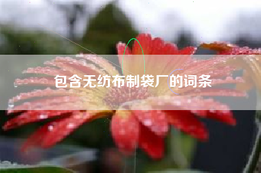包含无纺布制袋厂的词条