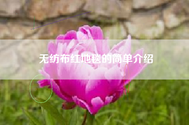 无纺布红地毯的简单介绍 无纺布红地毯的简单介绍