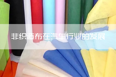 1703053010897797.jpg 非织造布在汽车行业的发展 看诸多车企如何应对多变的市场.jpg