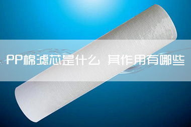 1703053310416176.jpg PP棉滤芯到底是什么 其主要的作用有哪些.jpg