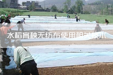 1703053737769657.jpg 水稻育秧无纺布使用相关技术要点详细介绍.jpg