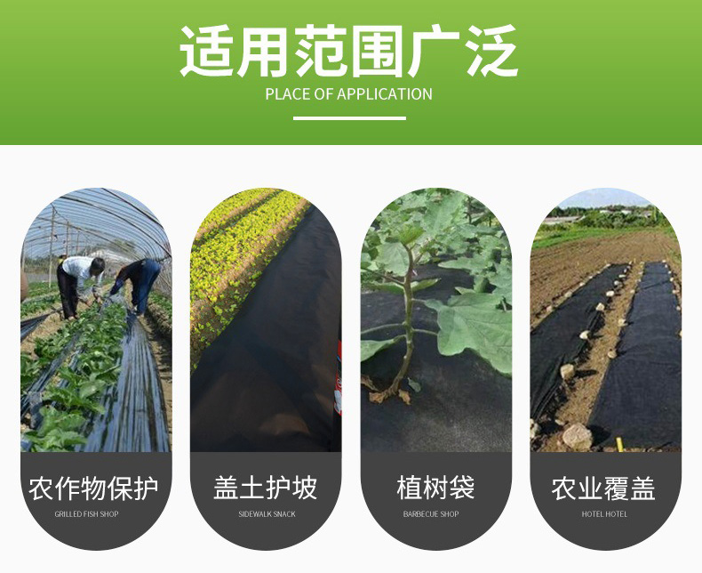 1705635809479355.jpg 定制出口无纺布PP聚丙烯纺粘无纺布覆膜淋膜无纺布农业用无纺布3.jpg