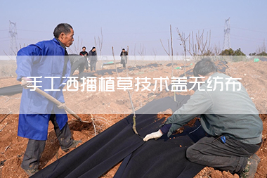 1713406578186190.jpg 手工洒播植草技术盖无纺布.jpg