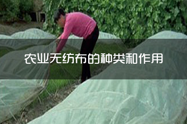 1714363021240159.jpg 农业无纺布的种类和作用.jpg